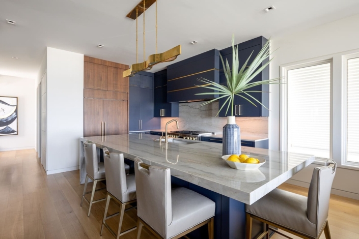 blue kitchen with a big plant