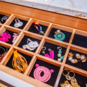 Jewelry holder with earrings